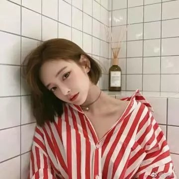 金毛喜迎冬