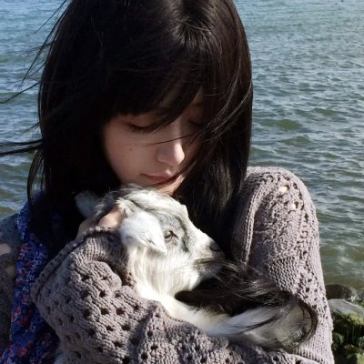 会长是女仆 特别篇